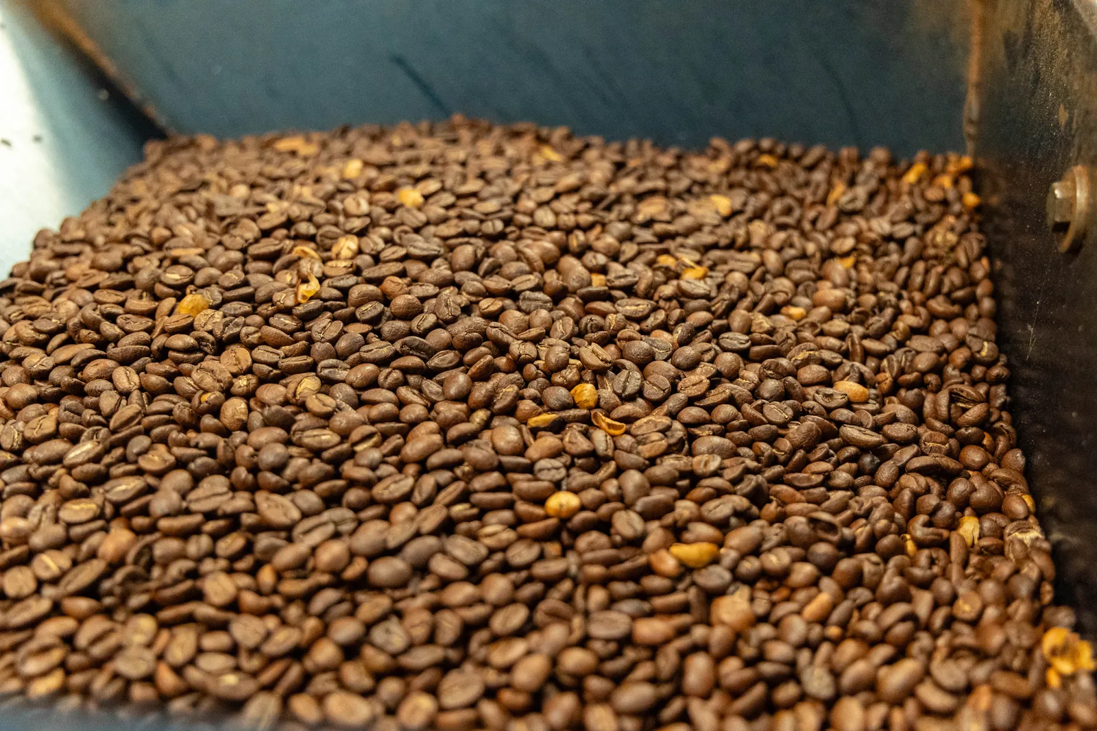 Café Pergamino